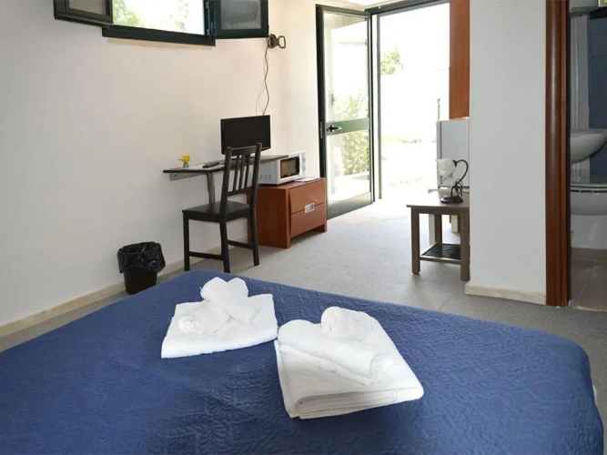 Standard Double room with pool view