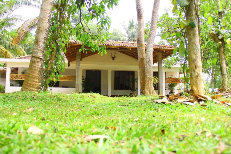 Ivory Pearl Rest House