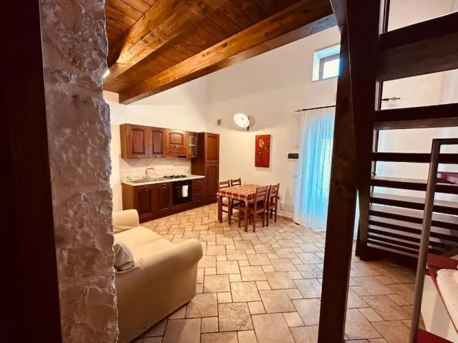 Comfort Apartment