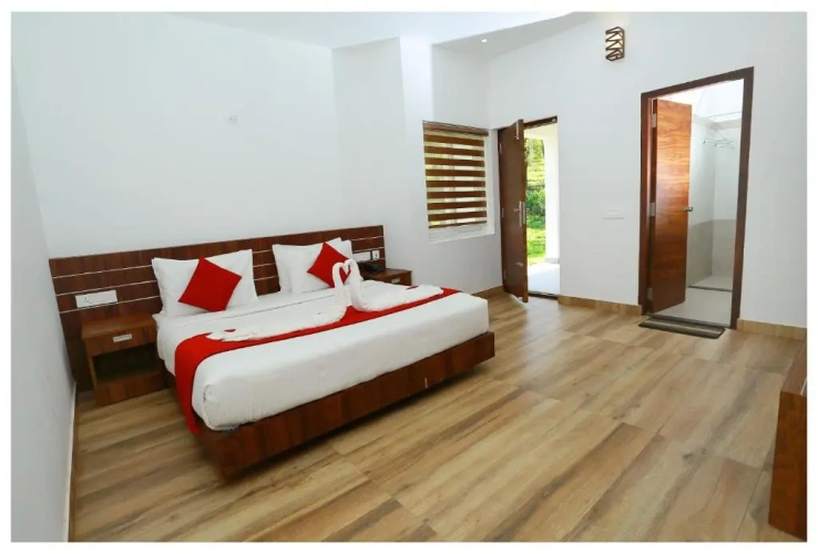 Deluxe Double room with balcony and with view
