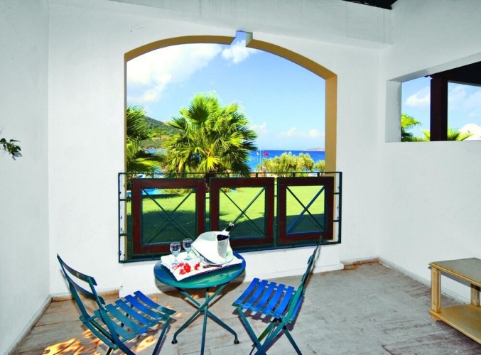 Standard Double room with balcony and with garden view