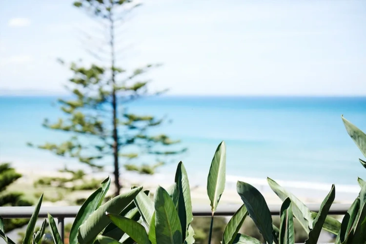 1 Bedroom Standard room with balcony and oceanfront