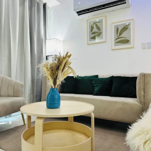 Classic Apartment