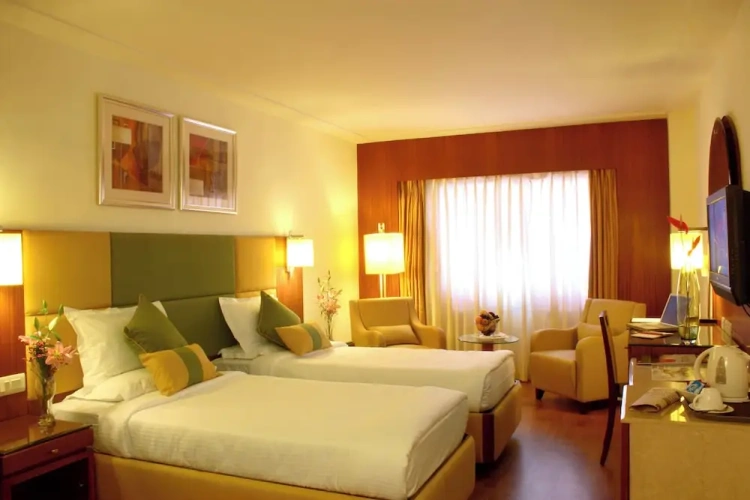 1 Bedroom Standard Club room