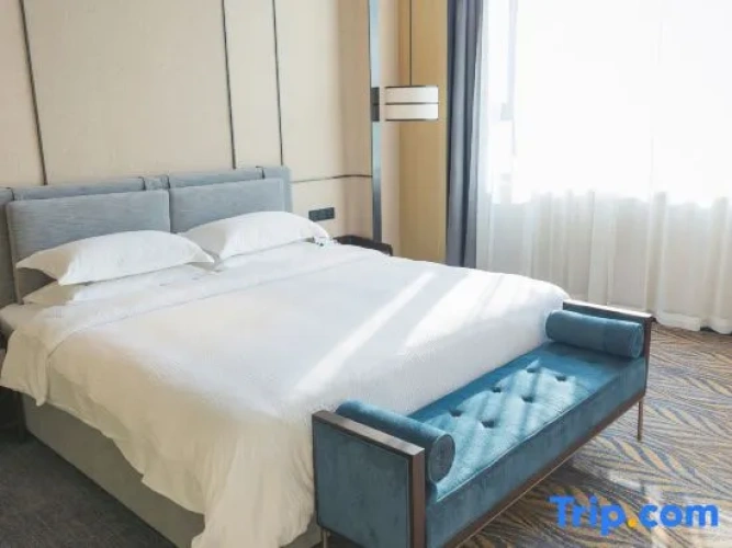 Business Suite