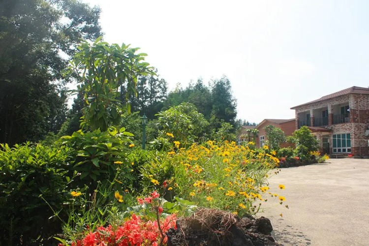 Jeju TS Hostel