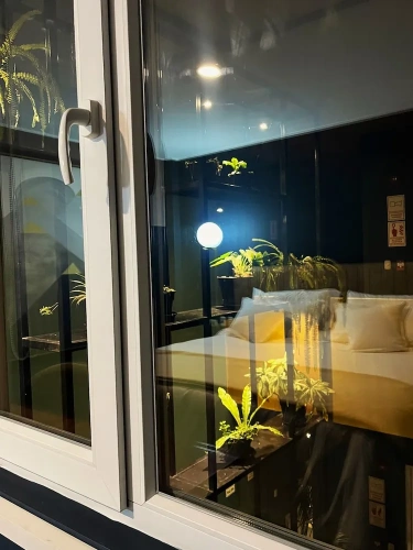 Standard Suite