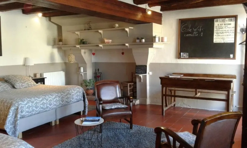 Standard Family Basement room