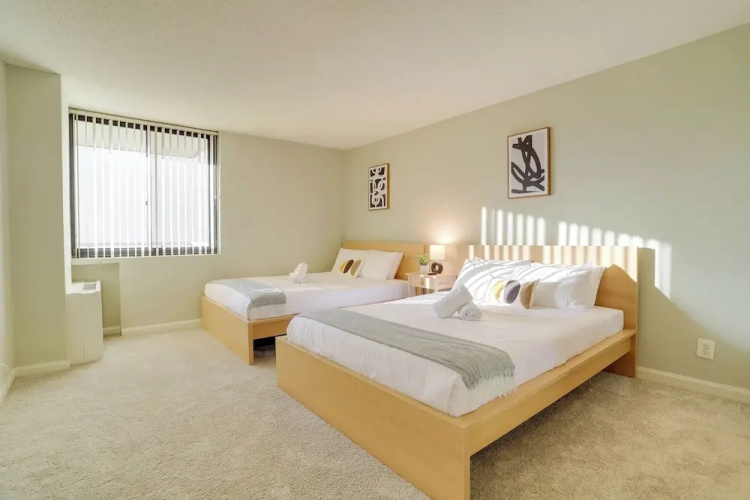 Modern Spacious Apt Crystal City