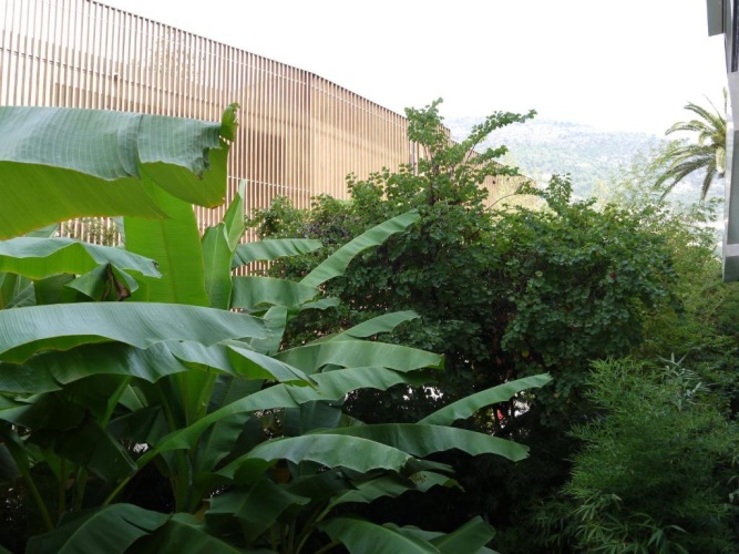 Standard Twin room with garden view