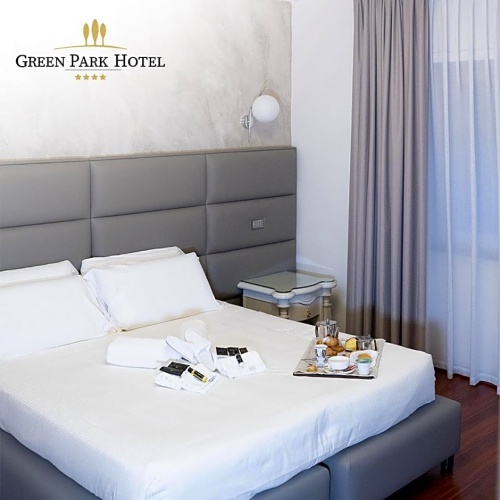Superior Double room with balcony and with view