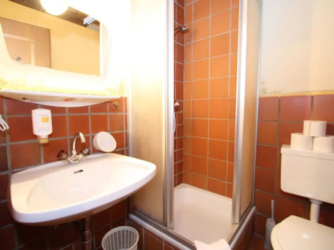 Warm Apartment in Ramsau am Dachstein With Garden