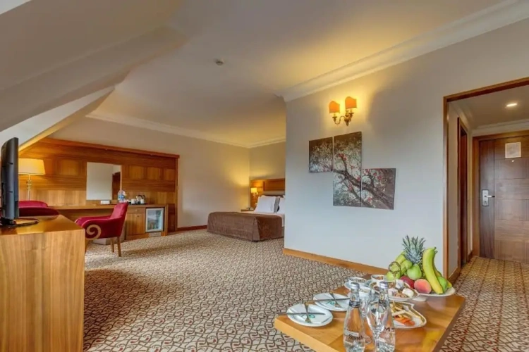Deluxe room with partial view