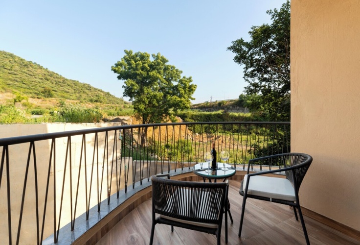 Classic Double room with balcony and with pool view