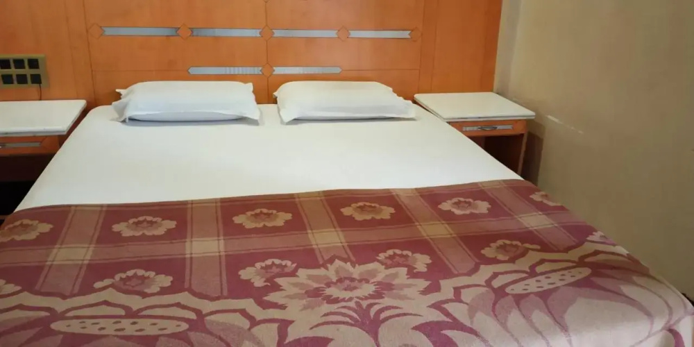 Hotel Mahendra