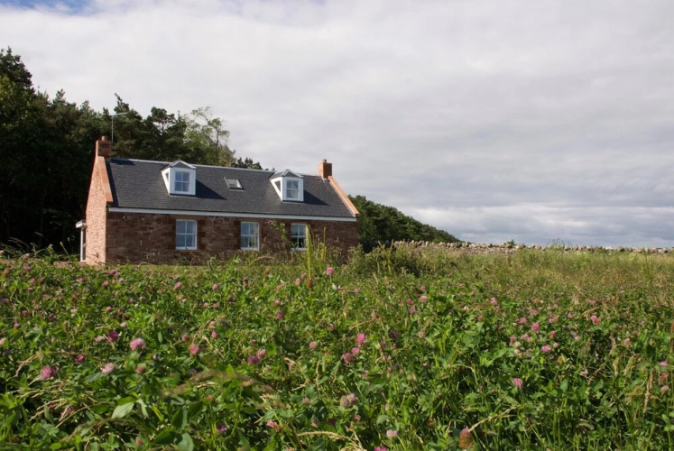 The Cottage