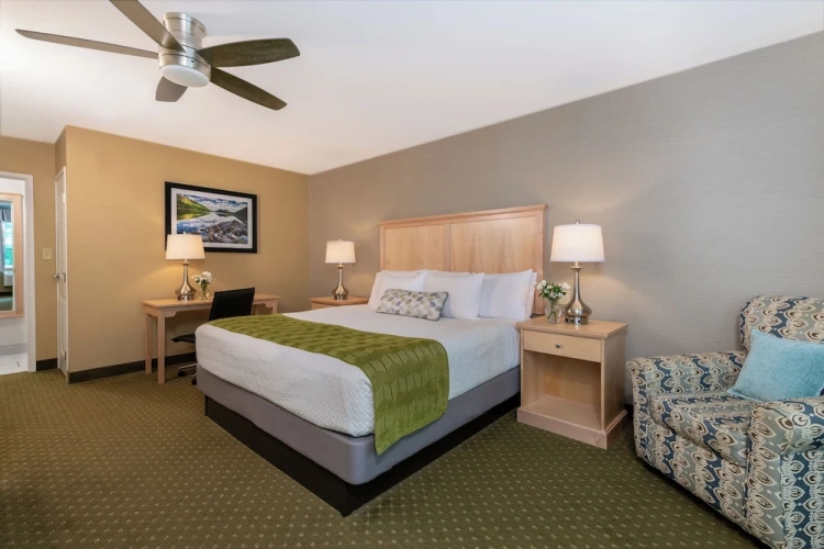Double Suite