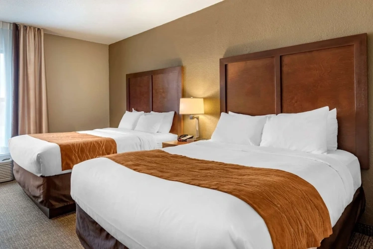 2 Bedrooms Quadruple Suite