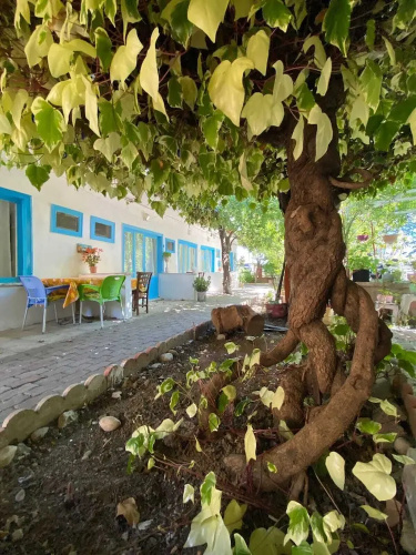 Hancı Butik Otel