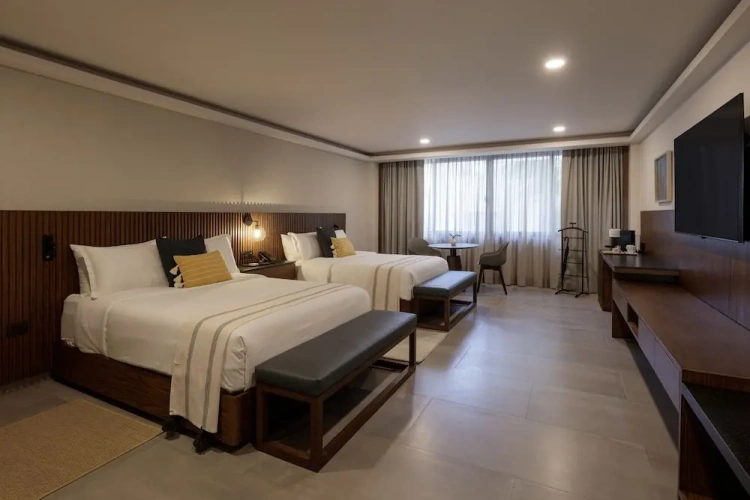 Deluxe Double room