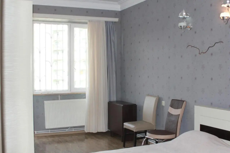 Guest House Ani