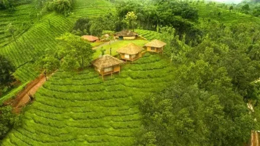 Oxyfarm Resorts