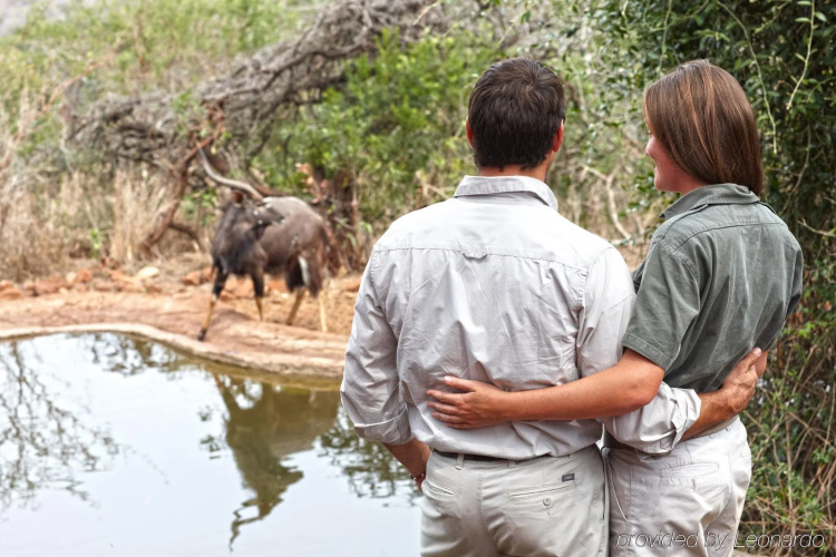Thanda Safari