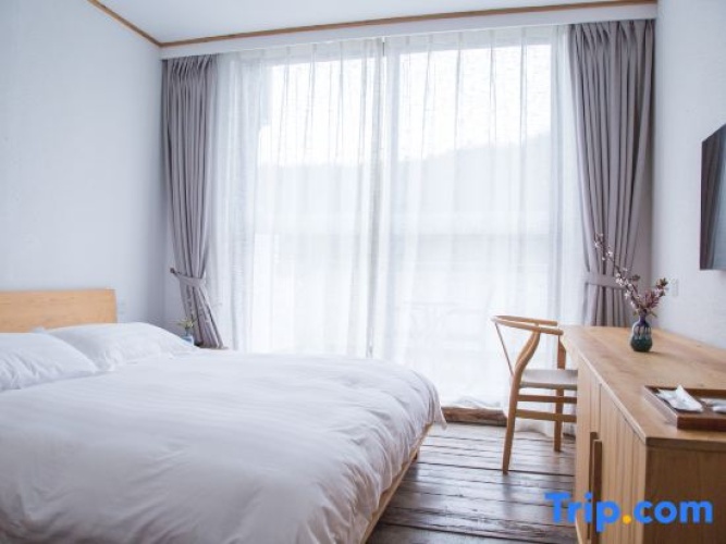 Single Suite