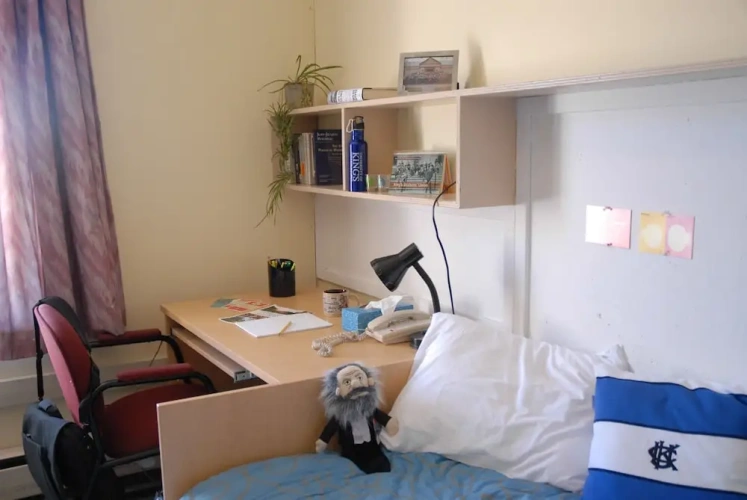 1 Bedroom Standard Single room