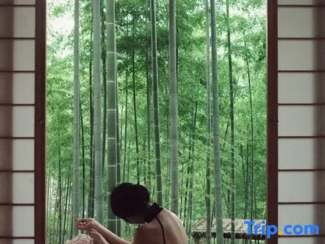 Anji Jane Eyre Hot Spring B&B