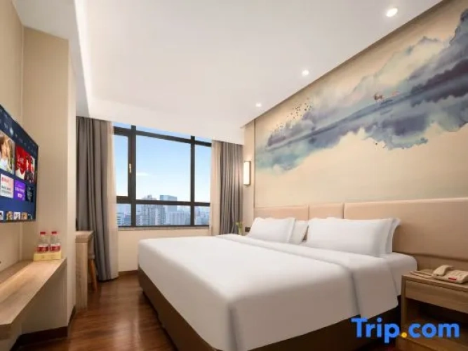 Standard Double room with city view