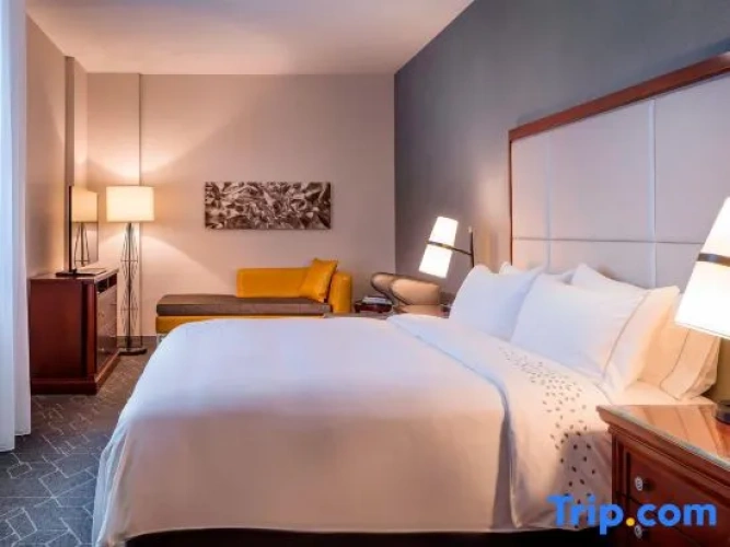 Guest Double Club room