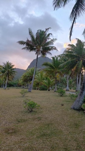 Standard Double room with mountain view
