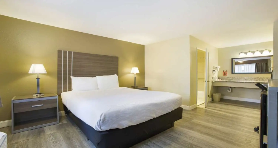 Standard Double room with balcony and with garden view