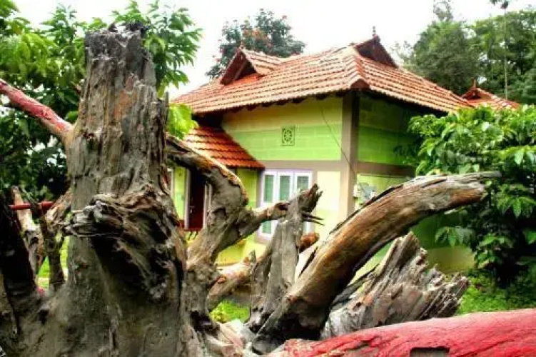 The mountain Resort