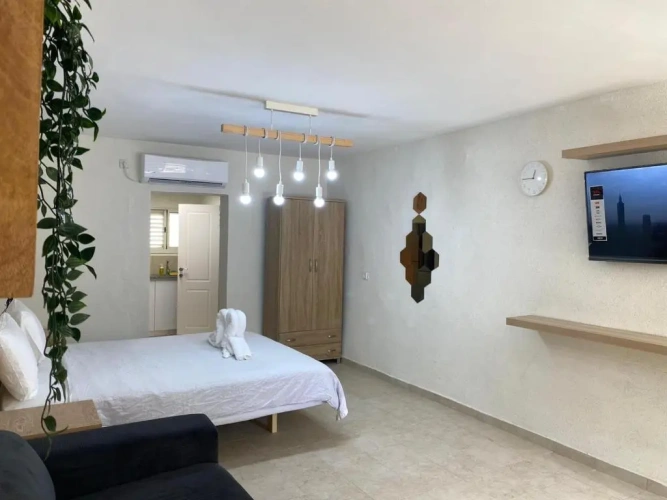 Superior Apartment