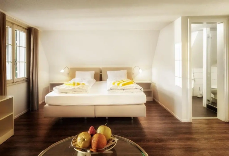 Standard Double room with lake view