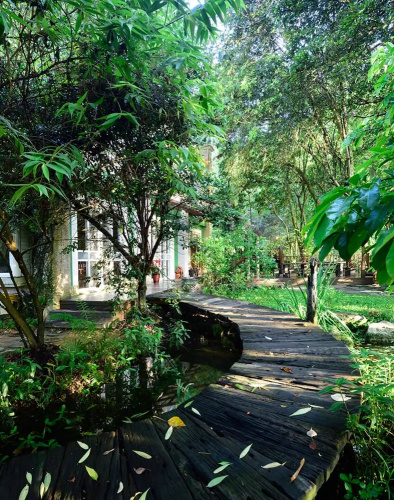 Taomi Guesthouse