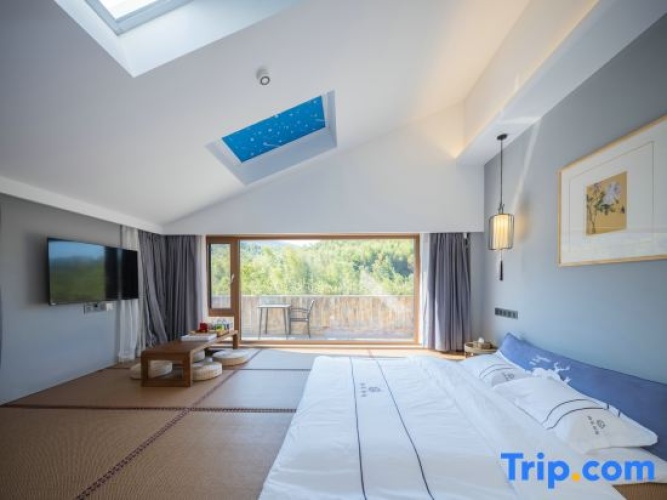 Standard Double room with mountain view