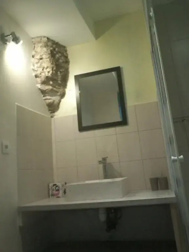 Les Chambres de Rochefort