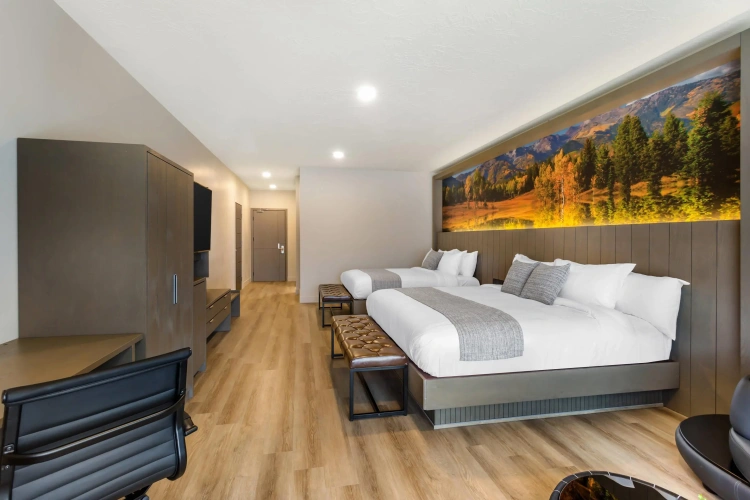 Guest rooms