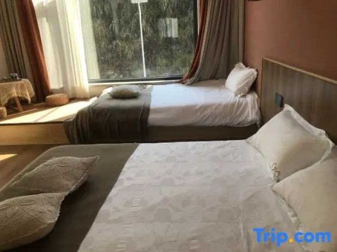 Standard Twin Family room