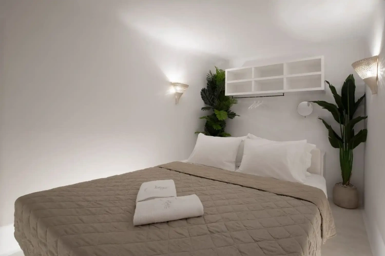 Basement Suite