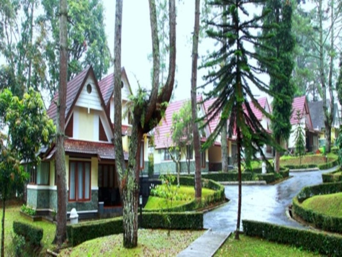 Bungalow