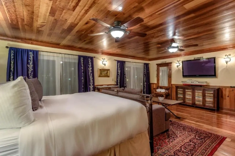 Standard room with balcony and with view