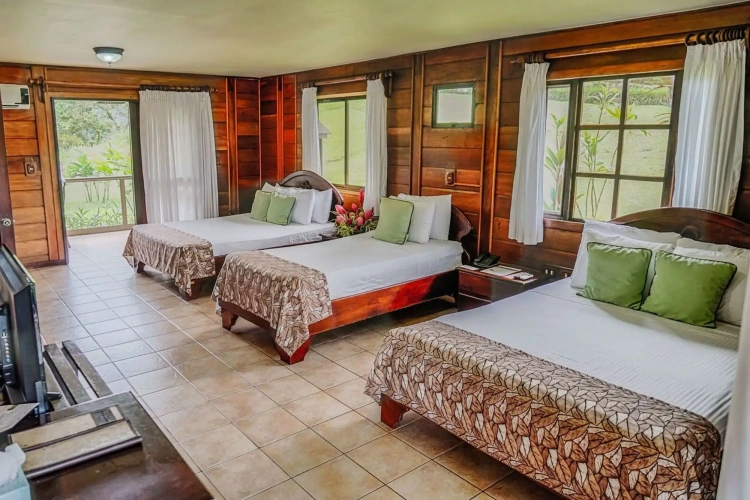 Guest rooms