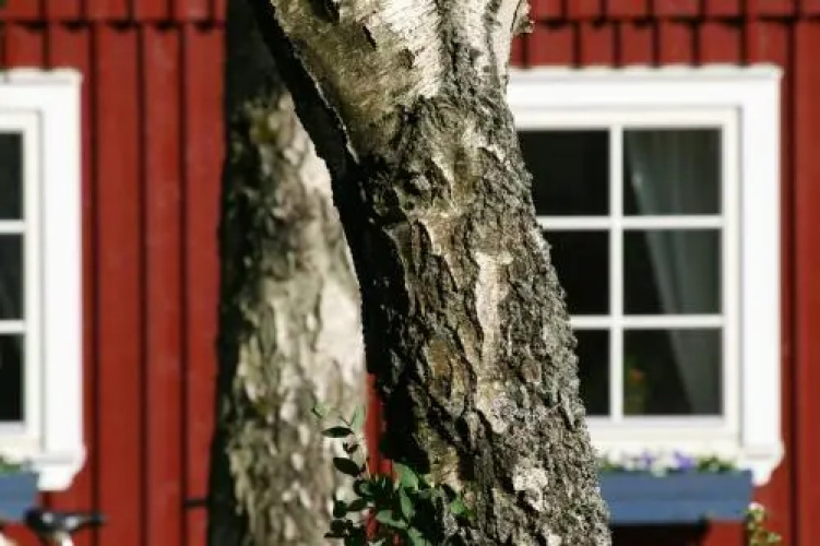 Bergastugan i Skrea