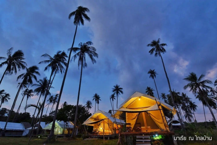 Tent