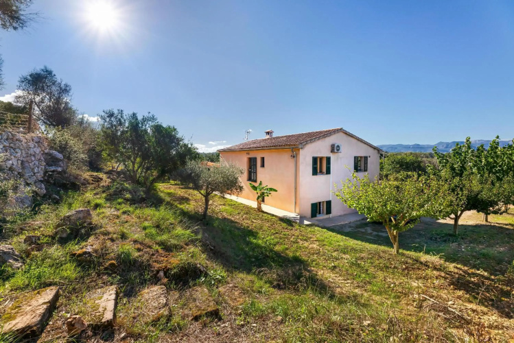 Villa Son Allarga