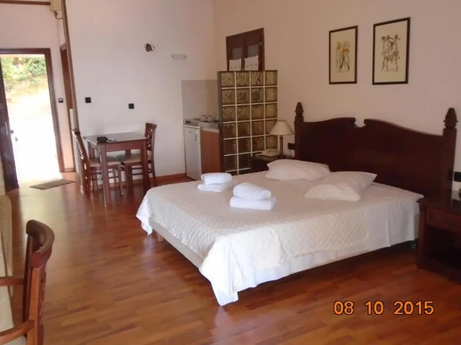 Standard Double room with garden view